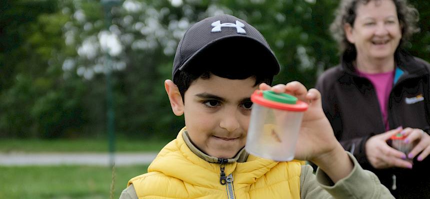 Kinder erheben Schmetterlingsvielfalt