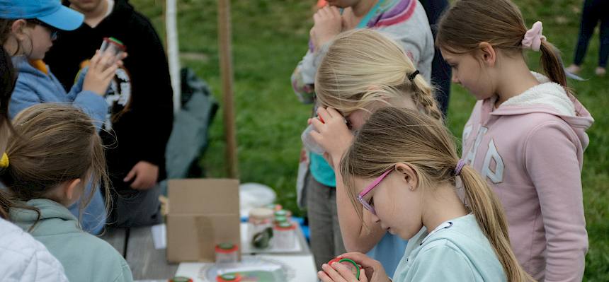 Kinder betrachten Schmetterlinge