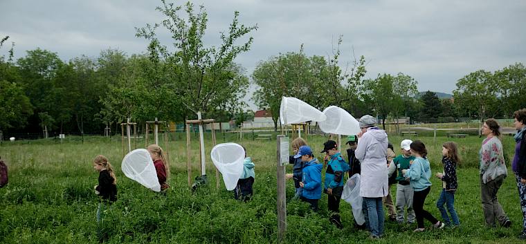 Große Spannung bei der Schmetterlingssuche. © LPV/S. Engel Kinder mit Schmetterlingsnetz