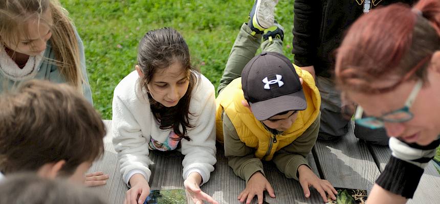 Kinder mit Naturbildungs Materialien