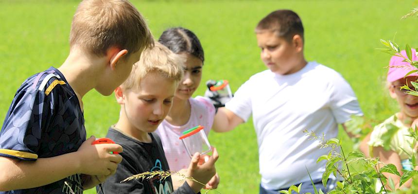 Schüler:innen auf der Suche nach Tieren und Pflanzen