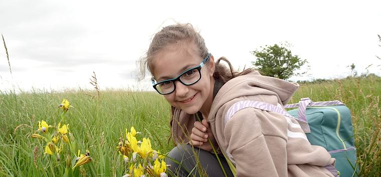 Die wunderschöne Bunt-Schwertlilie (Iris variegata) sorgte bei den Schüler:innen für große Begeisterung. © LPV/J. Rehrmbacher Schülerin mit Bunt-Schwertlilie