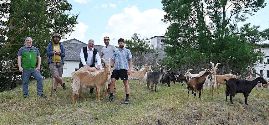 Ziegen mit Menschen auf Weidefläche