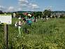 Nachdem sie bereits Ende April mit den Forschungsarbeiten begonnen haben, gingen die botanischen Erhebungen auf den Wiesen im Freizeitpark in Brunn für die Schüler:innen der 2a und 3a der Volksschule Wienerstraße heute in die nächste Runde. © LPV/J. Fischer Kinder erforschen Naturwiese