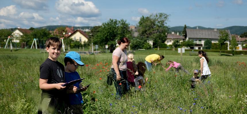 Kinder erforschen Naturwiese