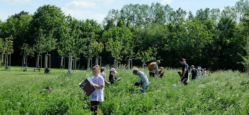 Volksschulkinder erforschen Natur mit Tablet