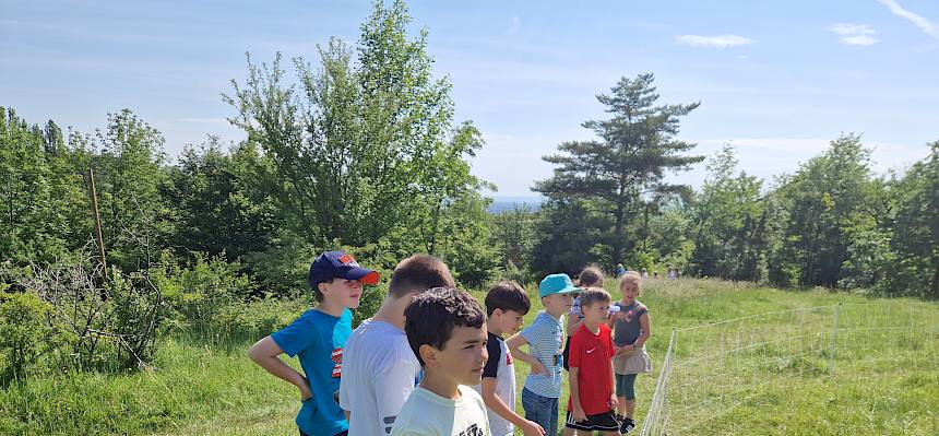 Schüler:innen bei Weidezaun