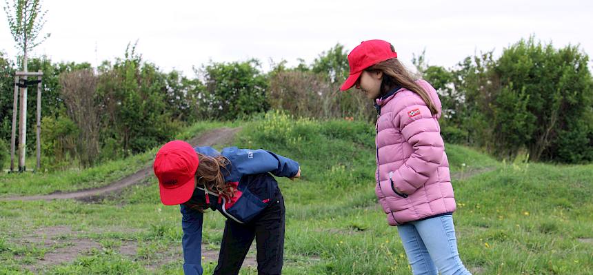 Schülerinnen messen Temperatur von Grünfläche