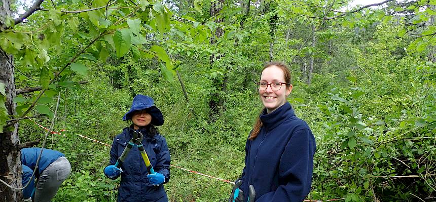 Volunteers bei der Arbeit