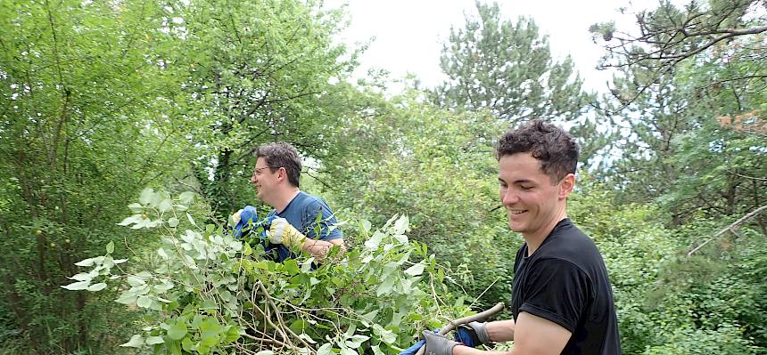 Volunteers tragen Plane mit Schnittgut