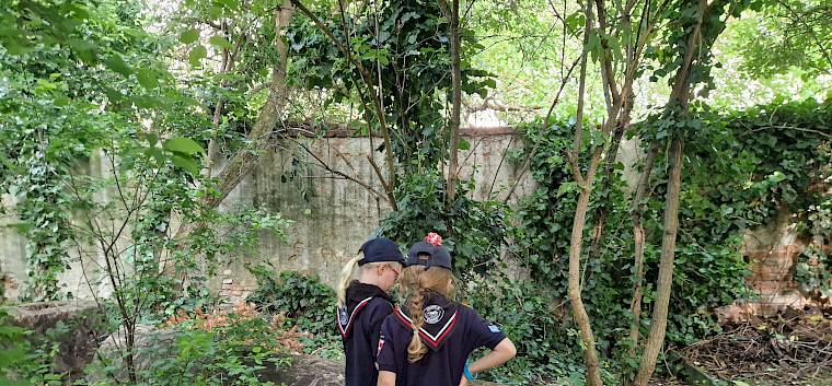 Das "Robinsonland" im Pfarrgarten bietet den perfekten Ort um erste Versuche mit der App zu unternehmen. © LPV/B. Sabek Pfadfinder beim Forschen