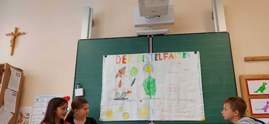 Schüler:innen präsentieren Plakat zum Distelfalter