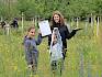 Nachdem sie bereits Ende April und Mai mit den Forschungsarbeiten begonnen haben, gingen die botanischen Erhebungen auf den Wiesen im Freizeitpark in Brunn für die Schüler:innen der 2a und 3a der Volksschule Wienerstraße heute in die nächste Runde. © LPV/F. Hohn Kinder erheben Pflanzen
