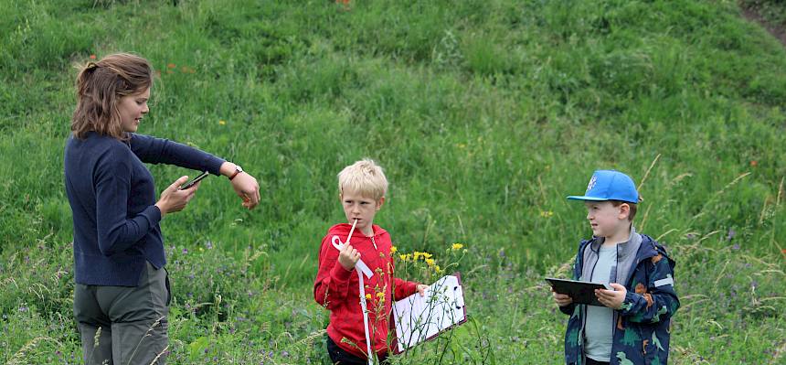 Volksschüler erheben Pflanzen