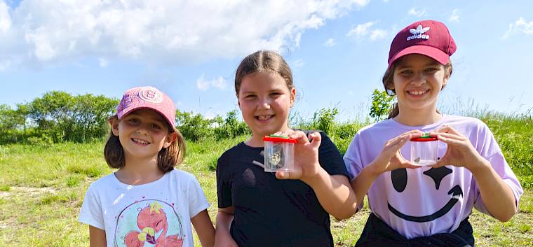 Ausgerüstet mit Becherlupen machten sich die Schüler:innen der 3a der VS Leobersdorf auf die Suche nach Insekten und Spinnen. © LPV/D. Lambropoulos Drei Schülerinnen mit Becherlupe