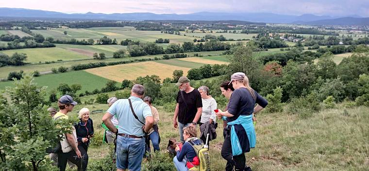 Biologe Felix führt die Teilnehmer:innen im Rahmen der Naturführung über den Blosenberg. © Mira Maria Meiler Bei der Trockenrasenführung