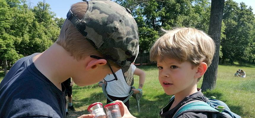 Schüler zeigen sich Funde gegenseitig