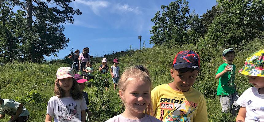 Kinder bei Insektensuche