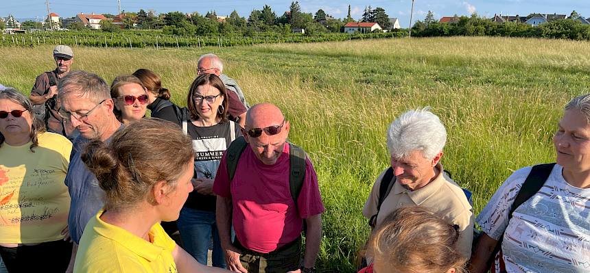 Biologin zeigt Raupe des Osterluzeifalters her