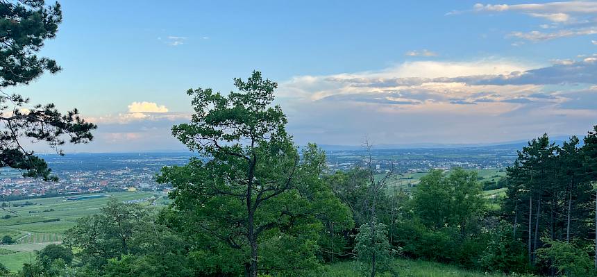 Ausblick in das Wiener Becken