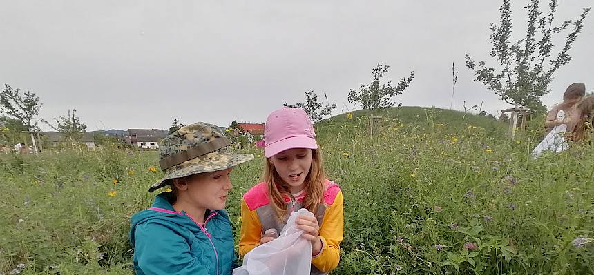 Kinder fangen Schmetterlinge im Freizeitpark