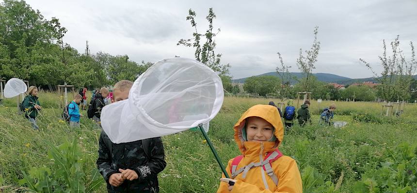 Kinder mit Schmetterlingsnetz