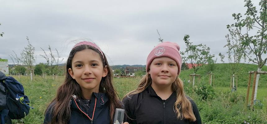 Schülerinnen erforschen Insekten in Brunn am Gebirge