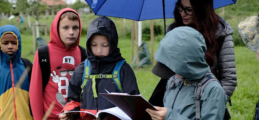 Schüler:innen erforschen Pflanzen