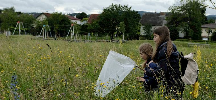 Waren die Kinder erfolgreich, wurden die Tiere vorsichtig in Becherlupen und durchsichtigen Röhren gefangen und bestimmt. © LPV/J. Fischer Kinder fangen Schmetterlinge