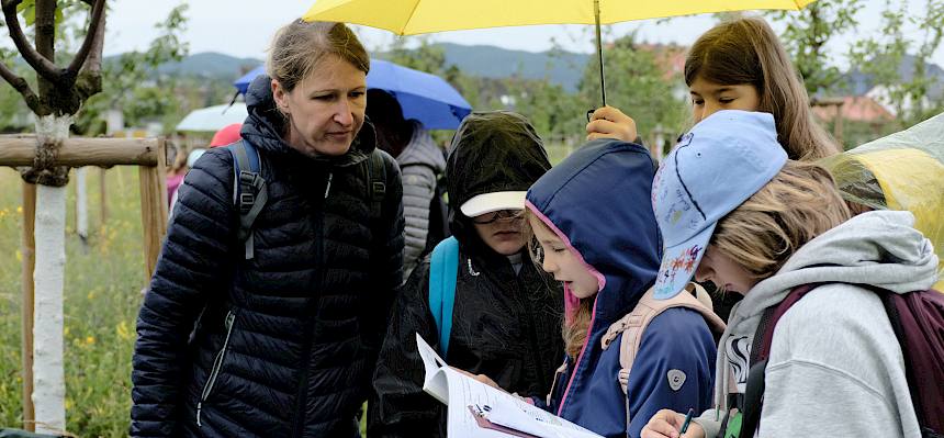 Schüler:innen erforschen Pflanzen