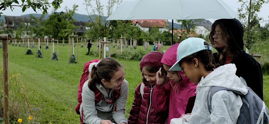 Schüler:innen erforschen Pflanzen