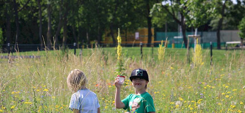 Kinder fangen Insekten