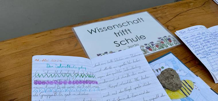 Die bunt gestalteten Wiesentagebücher begleiteten die Kinder durch das Schuljahr. © LPV/E. Weisz-Emesz Wiesen-Tagebücher