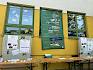 ... in den letzten beiden Schuljahren war viel los bei der 2a, 3a und 4a der Volksschule Wienerstraße. © LPV/E. Weisz-Emesz Ausstellung beim Schulfest