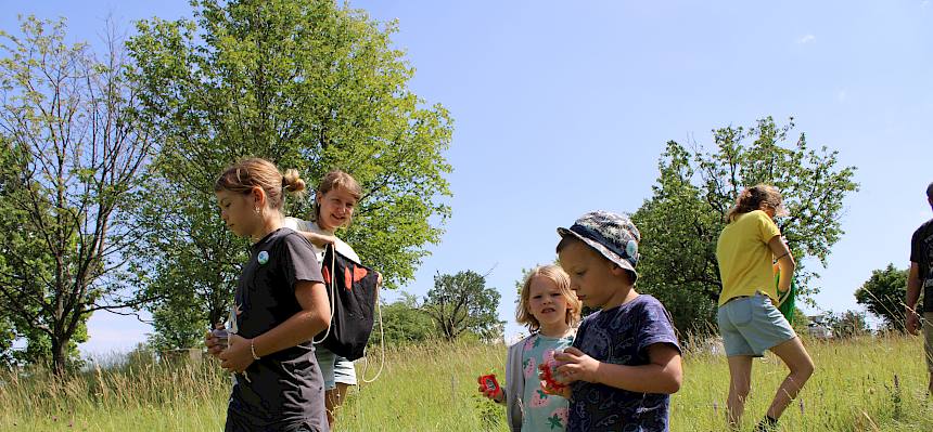 Kinder bei Natur-Führung