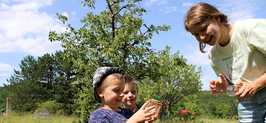 Kinder bei Becherlupensuche