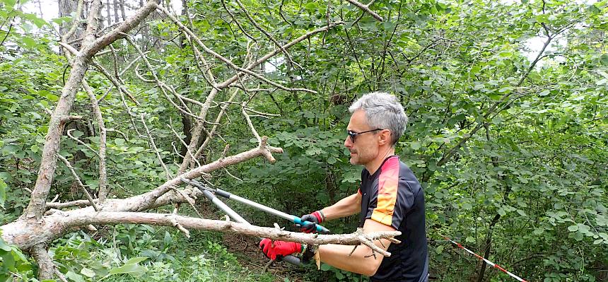 Volunteers bei der Arbeit