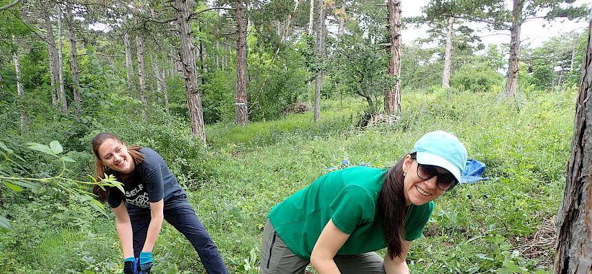 Volunteers bei der Arbeit