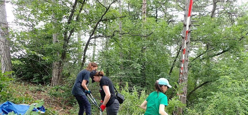 Volunteers bei der Arbeit