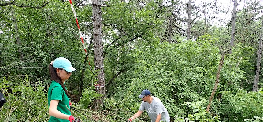 Volunteers bei der Arbeit