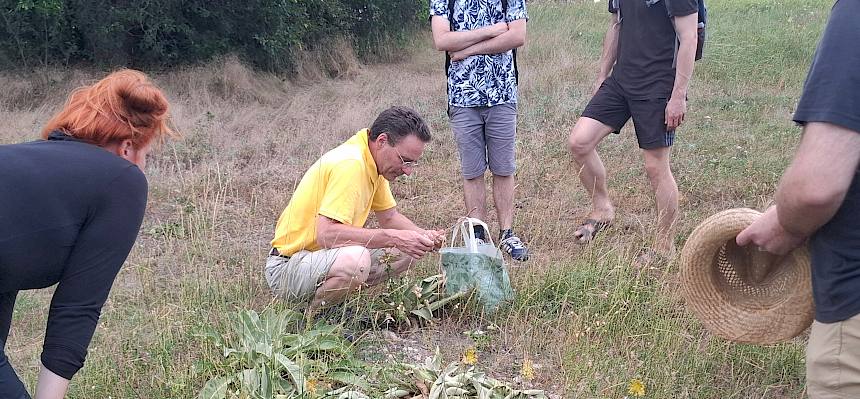 Biologe zeigt Pflanzen her