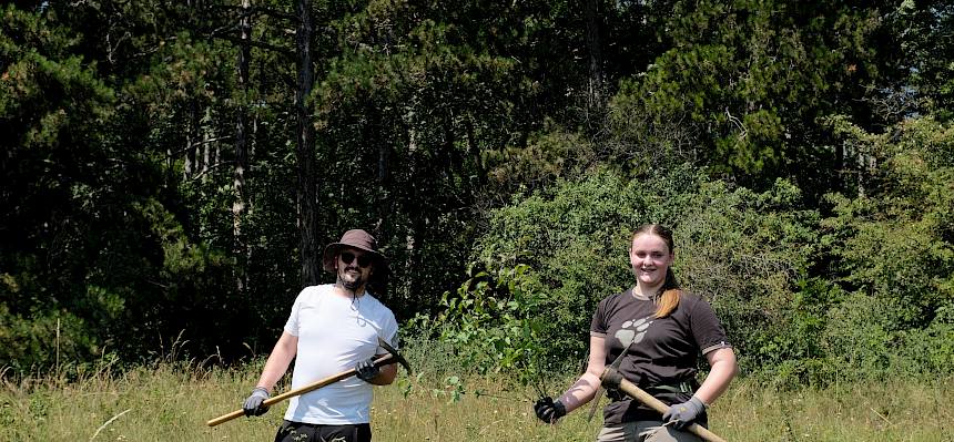 Volunteers bei der Arbeit