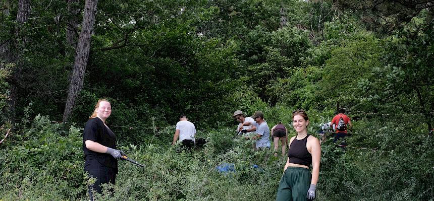 Volunteers bei der Arbeit