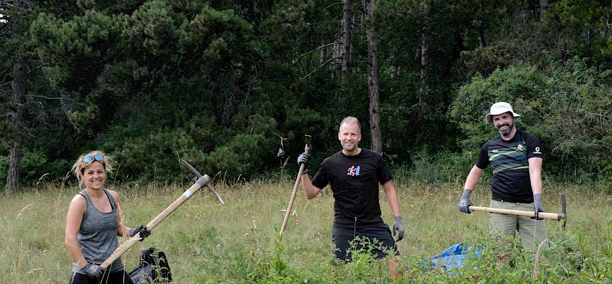 Volunteers bei der Arbeit