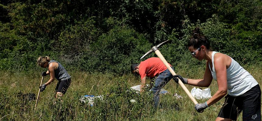 Volunteers bei der Arbeit