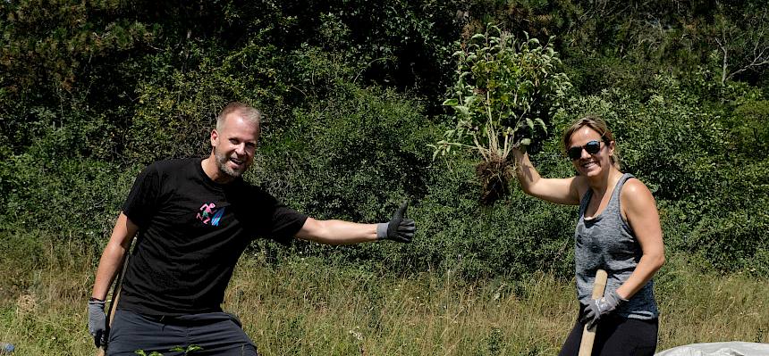 Volunteers bei der Arbeit