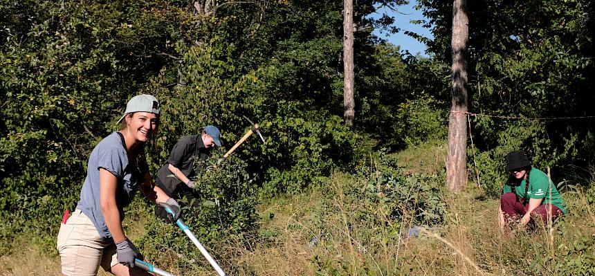 Freiwillige bei der Arbeit