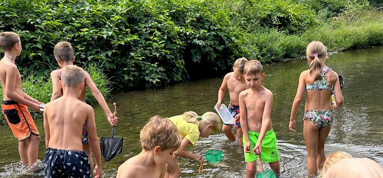 Im Rahmen des Traiskirchner Ferienspiels erforschten heute 52 Kinder die Schwechat und ihre vielgestaltigen Bewohner. © Beata Kaman Kinder erforschen Schwechat