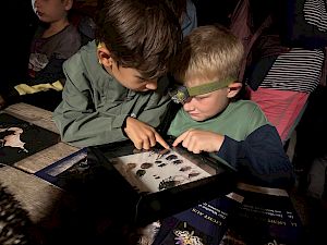 Kinder betrachten Käferpräparat