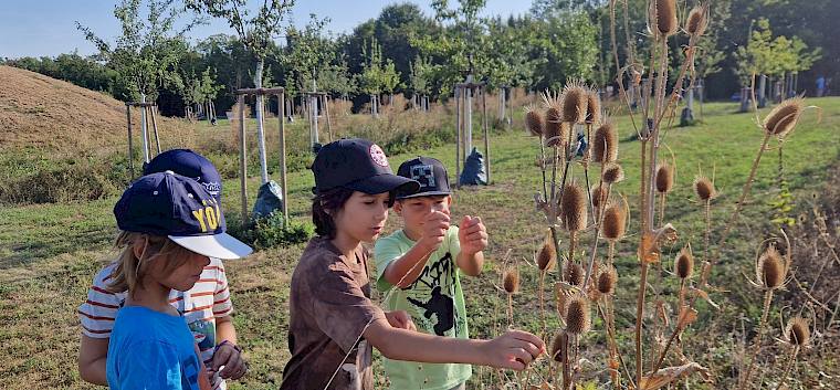 Auch die abgeblühte Wiese im Herbst ist ein wichtiger Lebensraum für Insekten. © LPV/B. Sabek Kinder auf der Wiese